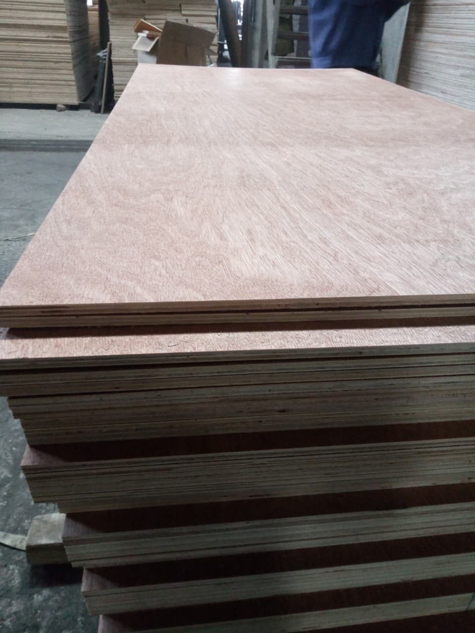 Sell_ Construction plywood grade AB glue MR 100_ hardwood